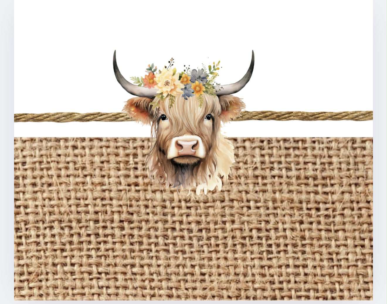 Highland Cow Tumbler